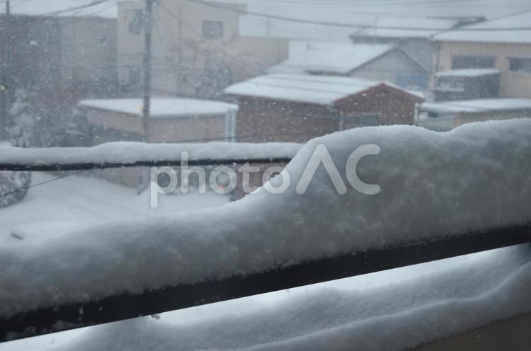 家の柵に雪が降り積もる様子 雪,樹木,冬の写真素材