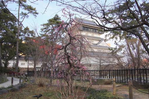 北九州市小倉北区の小倉城 北九州市,小倉北区,小倉城の写真素材