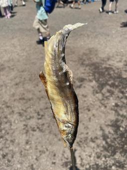 Grilled salted sweetfish, JPG Grilled salted sweetfish, JPG