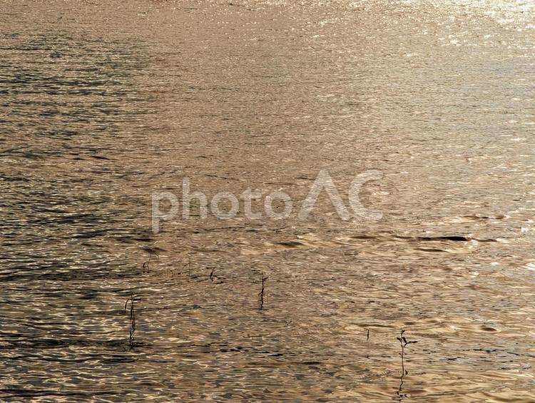 夕暮れの湖上 湖上,水面,湖の写真素材