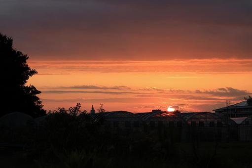夕焼け 夕焼けの写真