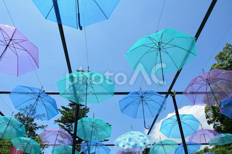 法多山アンブレラスカイの風景 法多山,傘,かさの写真素材