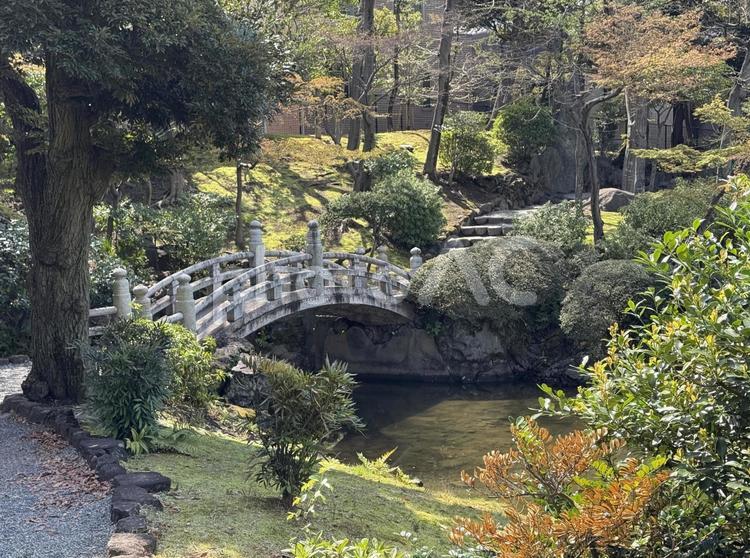 春の墨田区立旧安田庭園 侘び寂び,反射,春の写真素材