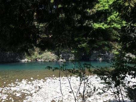 静寂の青:森に囲まれた川辺 静寂の青:森に囲まれた川辺の写真