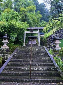 神明神社 神明神社 高山,神明神社,参拝の写真素材