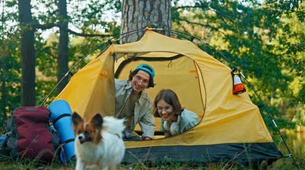 テントの中から犬を見て笑う二人 男女,外国人,パピヨンの写真素材