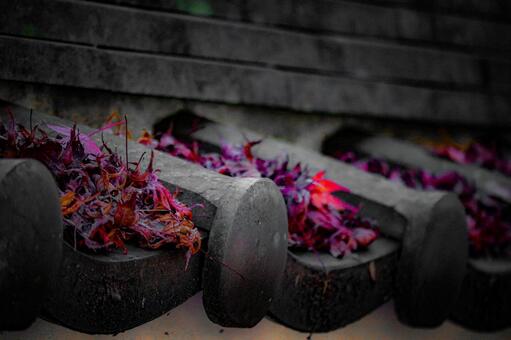 瓦に積もった秋 秋,紅葉,もみじの写真素材