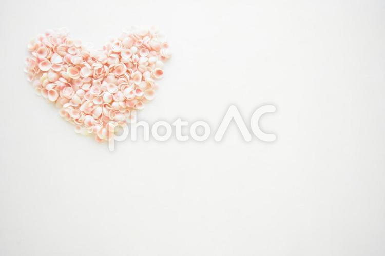 幸せを呼ぶ桜貝・小さいハート左上 桜貝,さくらがい,貝殻の写真素材