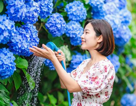 夏の朝・花に水やりする彼女 夏の朝・花に水やりする彼女の写真