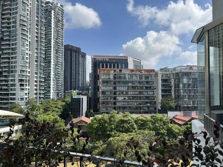 シンガポールの街並み シンガポールの街並み シンガポール,風景,街並みの写真素材