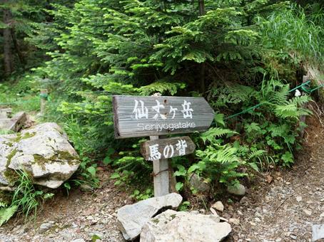 仙丈ヶ岳登山道の道標 仙丈ヶ岳登山道の道標 道標,仙丈ケ岳,南アルプスの写真素材