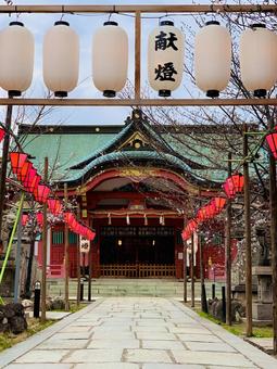 土佐稲荷神社 三月 土佐稲荷神社 三月の写真