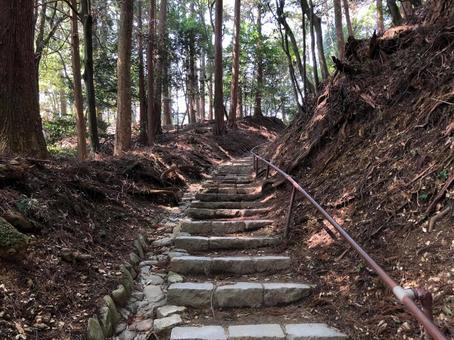 険しい山道 険しい山道の写真