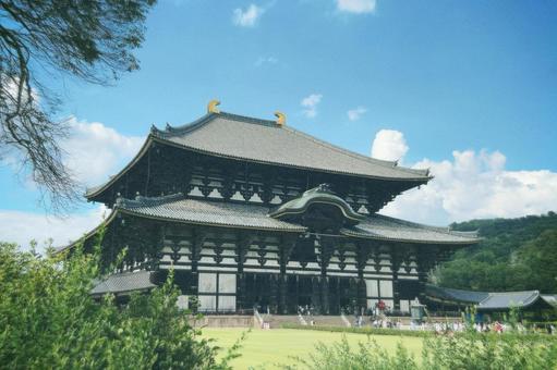 東大寺 東大寺の写真