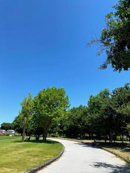 青空と遊歩道 青空と遊歩道の写真