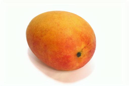Photo, plant, fruit, fruits, 