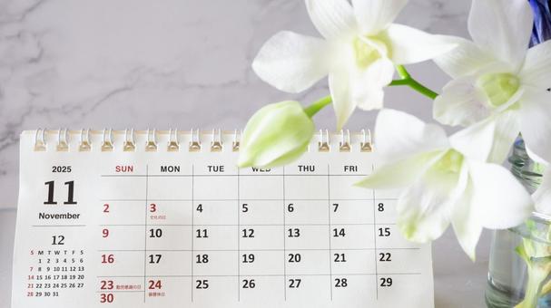 11月のカレンダーと白い花 11月のカレンダーと白い花 カレンダー,11月,花の写真素材