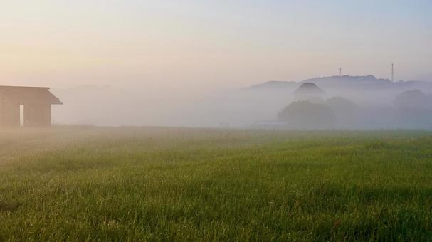 長崎県壱岐市の朝靄の中の原の辻遺跡 長崎県壱岐市の朝靄の中の原の辻遺跡の写真