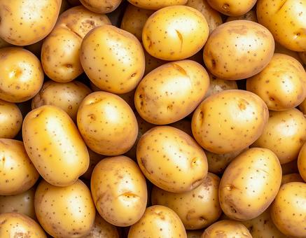 大量のじゃがいもを敷き詰めた背景素材 大量のじゃがいもを敷き詰めた背景素材の写真