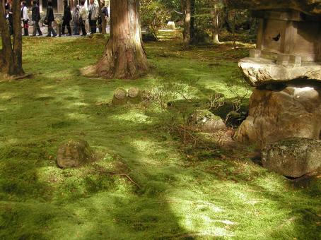 京都 大原 京都 大原の写真