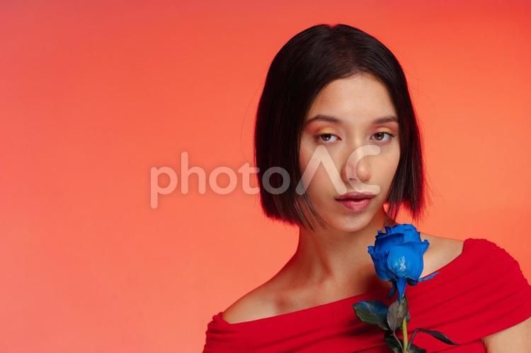 青のバラを持つ赤い服の女性 女性,バラ,青の写真素材