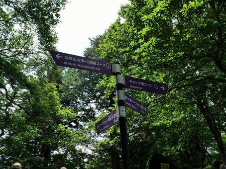 筑波山の登山道 筑波山の登山道の写真
