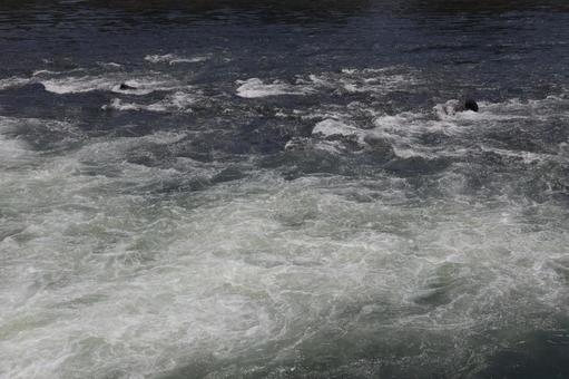 川の流れ 川の流れ 川,河川,流れの写真素材