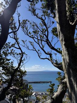 小坪漁港 湘南,富士,青空の写真素材
