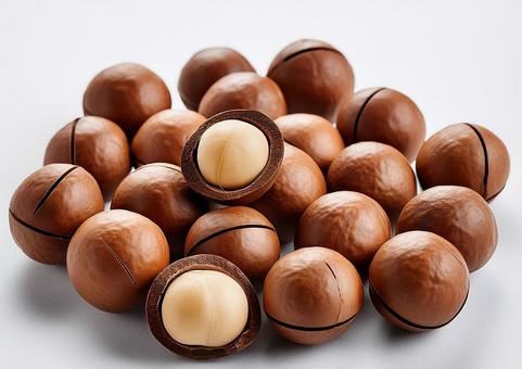 マカデミアナッツの写真