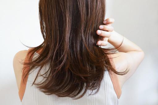 髪の毛を触る女性の後ろ姿 ヘアケア 髪の毛を触る女性の後ろ姿 ヘアケア 女性,ヘアケア,ケアの写真素材