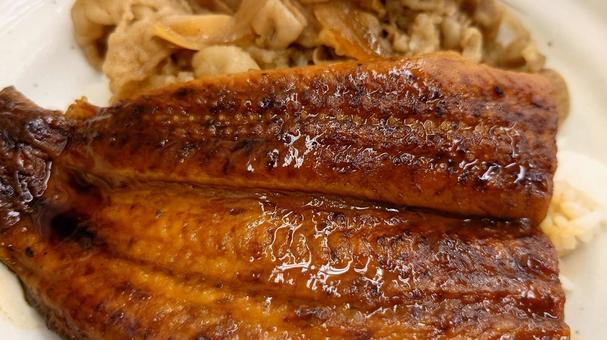 うな牛 うな牛 うな牛,ウナギ,鰻のかば焼きの写真素材