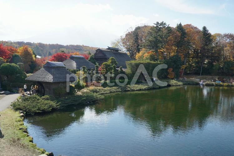 麦藁屋根と池 風景,景色,古民家の写真素材