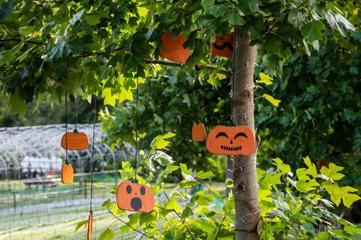 ハロウィンの飾り⑴ ハロウィンの飾り⑴の写真