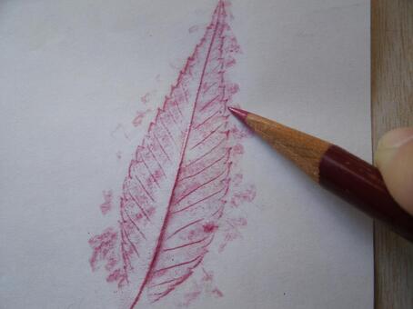 色鉛筆で紙に葉脈模様をこすり出す様子 フロッタージュ,こすり出し,技法の写真素材