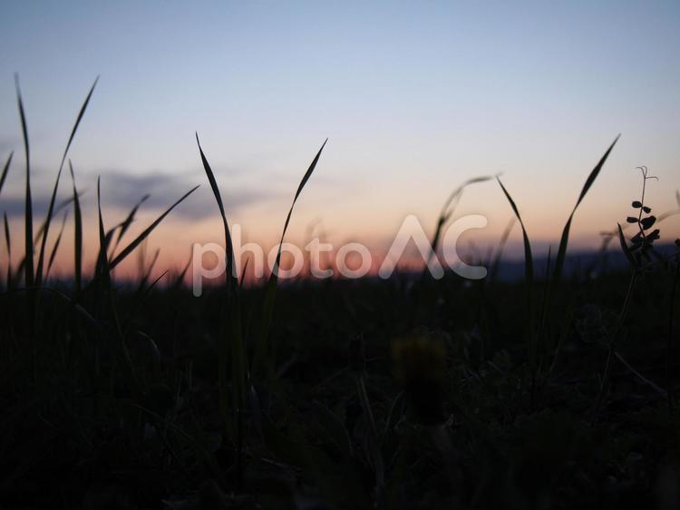 夕暮れ 風景,夕焼け,フィールドの写真素材