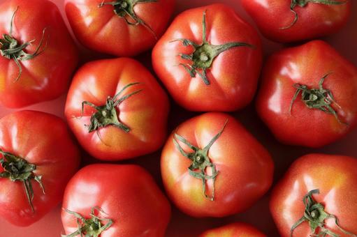 Image material of tomato (red background), JPG Image material of tomato (red background), tomato, background, ingredient tomato dishes, JPG