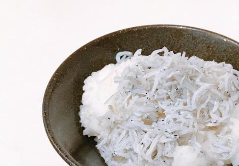 しらすご飯 しらすご飯 しらすご飯,釜揚げしらす,しらすの写真素材