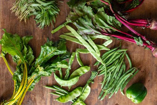 いんげんやピーマンなどの野菜 いんげんやピーマンなどの野菜の写真
