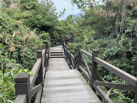 遊歩道 遊歩道,公園,桜島の写真素材