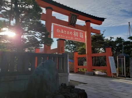 白山神社より 白山神社,鳥居,初詣の写真素材