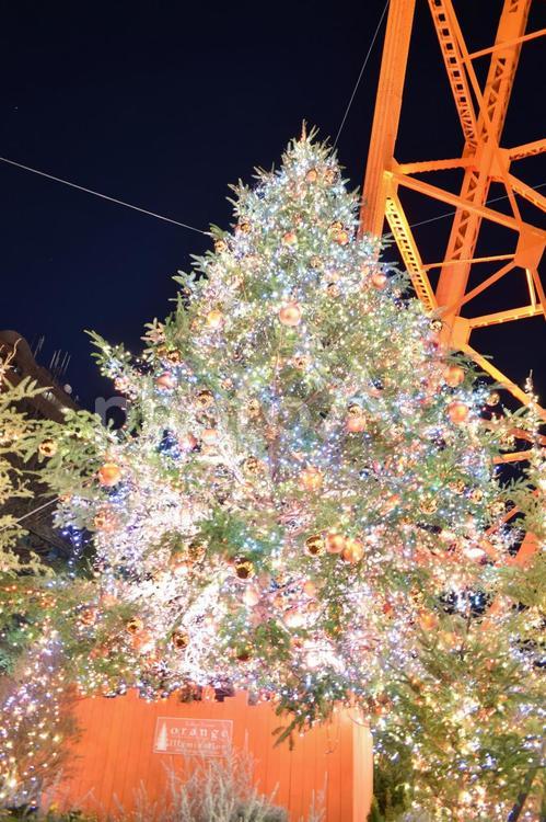 東京タワー クリスマスツリー 2019 東京タワー,クリスマスツリー,2019の写真素材