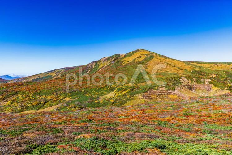 秋色に染まる　栗駒山の絶景 山,秋,紅葉の写真素材