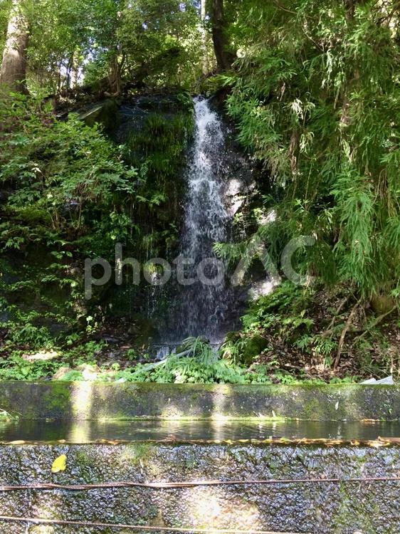 木漏れ日が差し込む、森の小さな滝 滝,小さな滝,森の写真素材