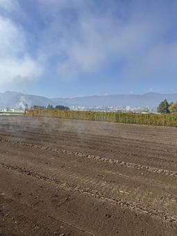 晩秋のけあらしと長芋畑の写真