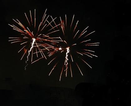 いたばし花火大会2025_7 いたばし花火大会2025_7の写真