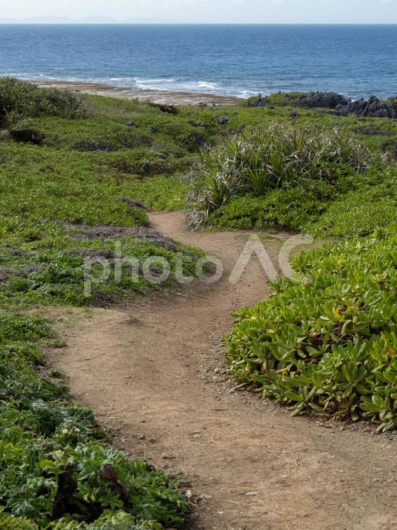 辺戸岬の風景 沖縄,南国,夏休みの写真素材