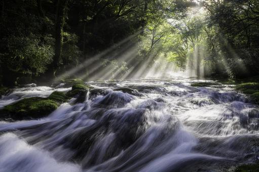 熊本-【菊池渓谷の光芒】 熊本,菊池渓谷,川の写真素材