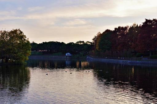 公園の夕景 夕景,たそがれ,残照の写真素材