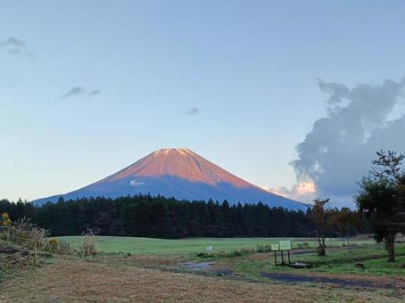 夕日に照らされている富士山～朝霧高原～ 富士山,朝霧高原,山の写真素材