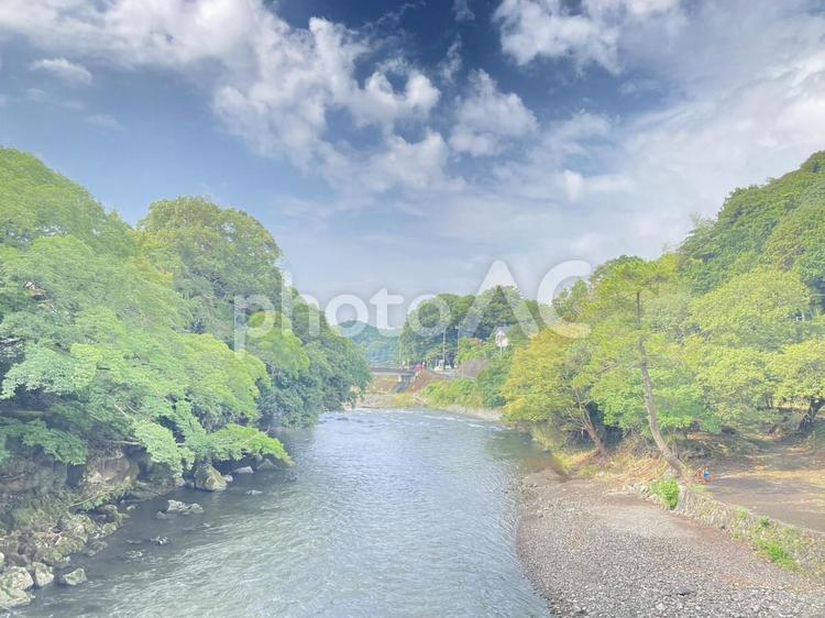 森林と川 川,自然,山の写真素材